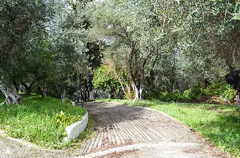 Andre Village 2*