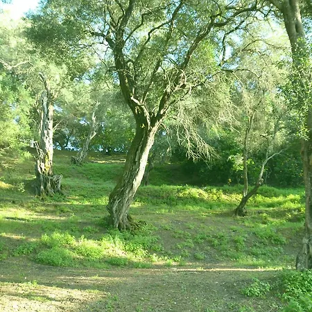 Andre Village Apart-hotel 2*