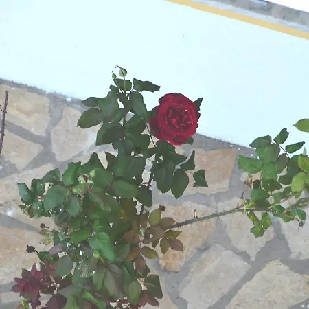 Apart-hotel Andre Village 2*