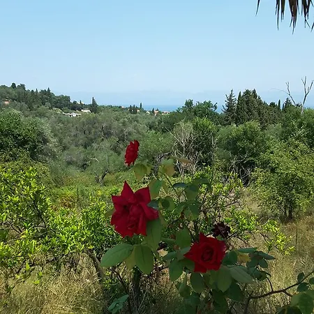 Andre Village 2* Corfu (city)